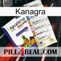 Kanagra 11